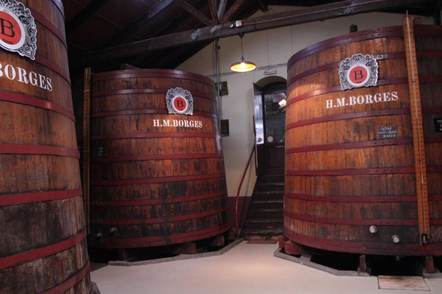 Funchal: H.M. Borges Winery Guided Tour with Wine Tasting - Should you book H.M. Borges Madeira Wine Tour?