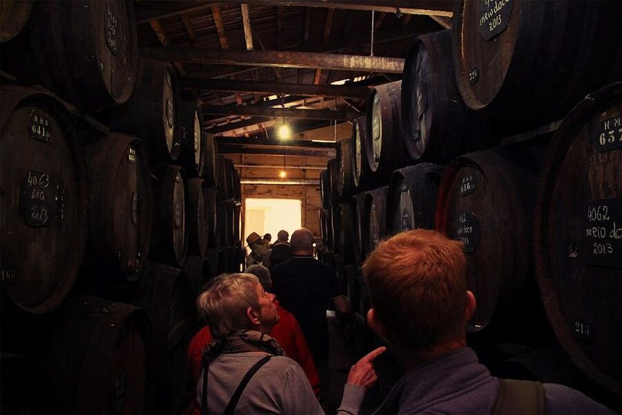Funchal: H.M. Borges Winery Guided Tour with Wine Tasting - Choosing your tasting level: Silver, Gold, and Diamond pours