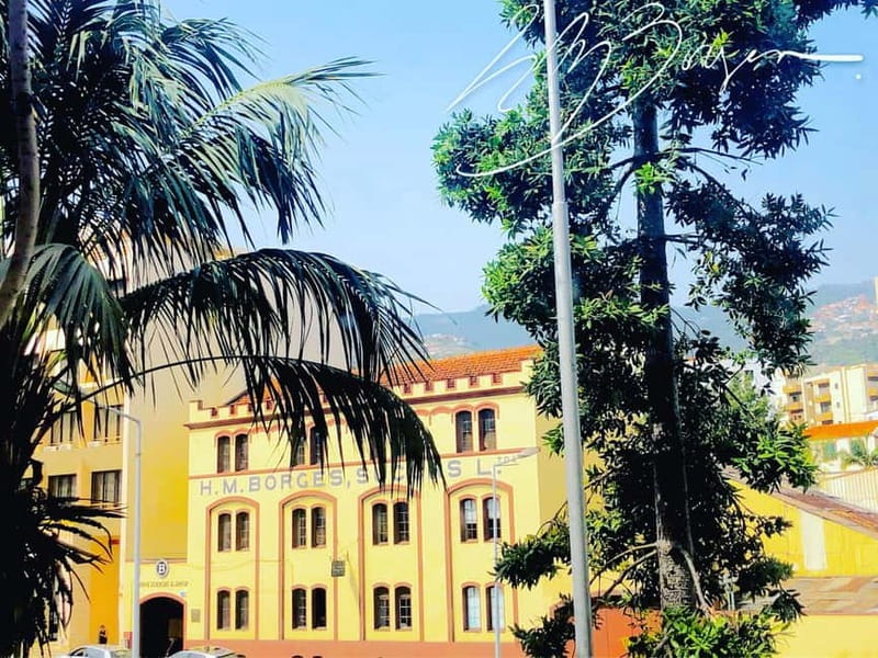 Funchal: H.M. Borges Winery Private Tour and Wine Tasting - Key things to know before you go