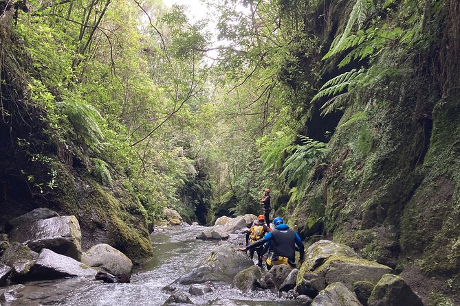 Funchal: Half-day Beginners Canyoning - Your Morning at Lokoloko, Gear Up Without Stress