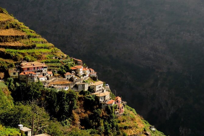Funchal Half Day Shore Excursions for Cruise Ship - Where This Tour Fits Best: Who Should Book, and Who Might Not