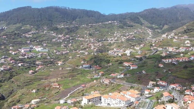 Funchal: Half-Day South Madeira Island Private Tour - From cruise pier pickup to a focused 3 to 4 hour route