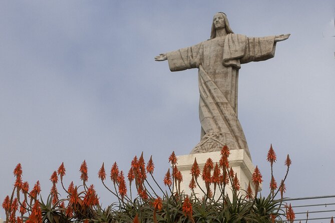 Funchal highlights 5h Private Tour in Madeira - Pico dos Barcelos at 355m, the quick panoramic fix