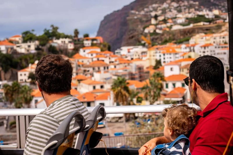 Funchal:Hop-on Hop-off Bus & Whale & Dolphin boat Excursion - Key points before you go