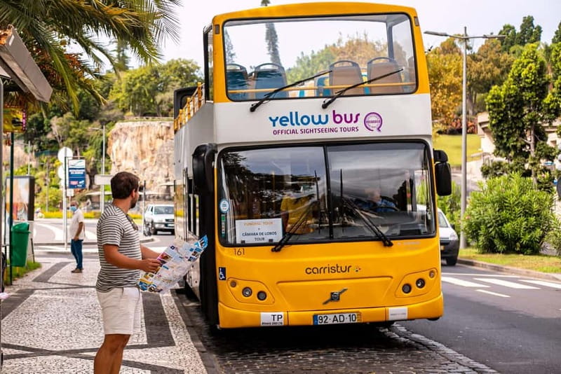 Funchal:Hop-on Hop-off Bus & Whale & Dolphin boat Excursion - A 2-day mix of Funchal sights and Atlantic wildlife