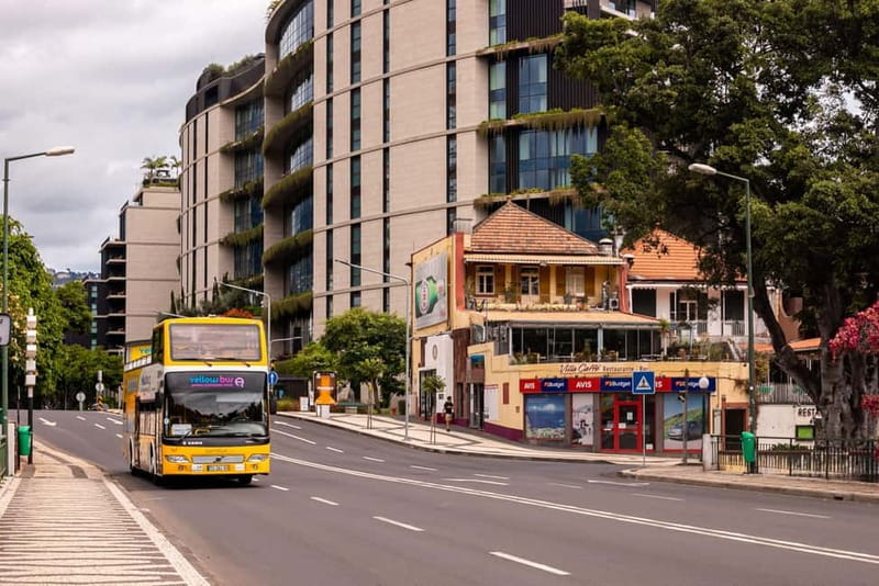 Funchal:Hop-on Hop-off Bus & Whale & Dolphin boat Excursion - Price and value: is $54 per person a good deal?