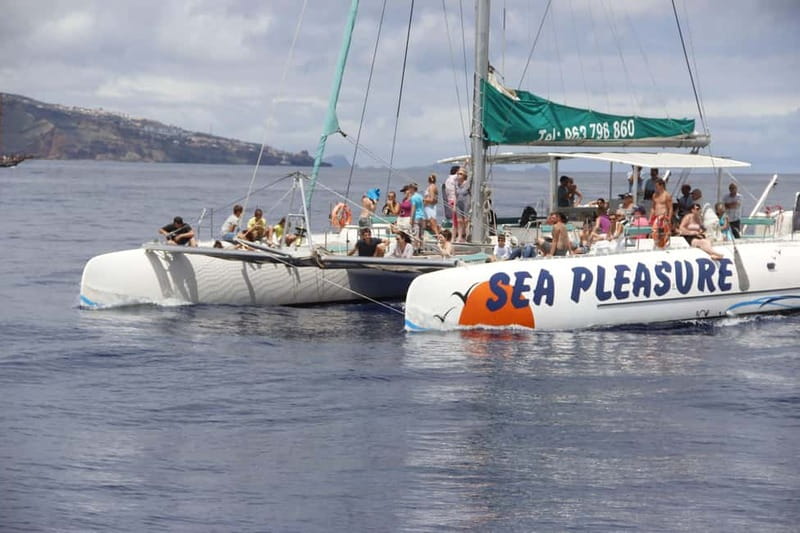 Funchal:Hop-on Hop-off Bus & Whale & Dolphin boat Excursion - How the hop-on hop-off bus works (and how to use it well)