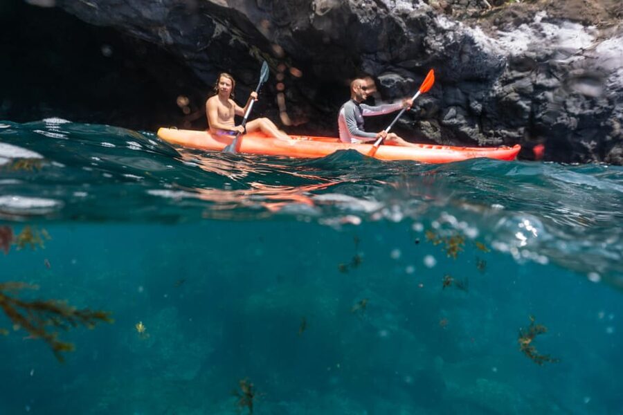Funchal: KAYAK Rental or Guided tour with snorkeling - Why Funchal Kayak and Snorkeling Feels Just Right