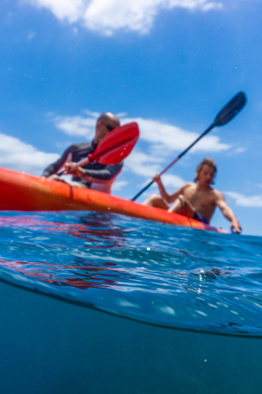 Funchal: KAYAK Rental or Guided tour with snorkeling - Pricing and value: what $29 really buys you