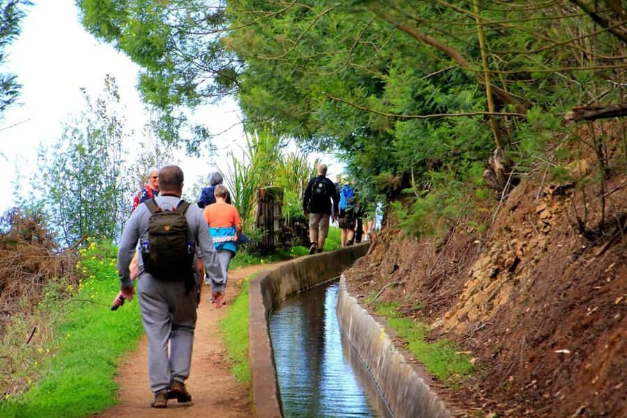 Funchal : Levada do Norte - Guided walk with transport - Levada do Norte: Madeira’s irrigation trail with sea views