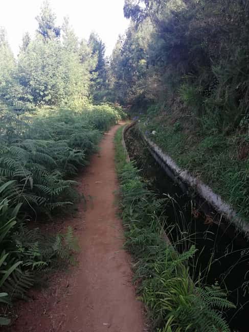Funchal : Levada do Norte - Guided walk with transport - Getting from Funchal to Quinta Grande by van