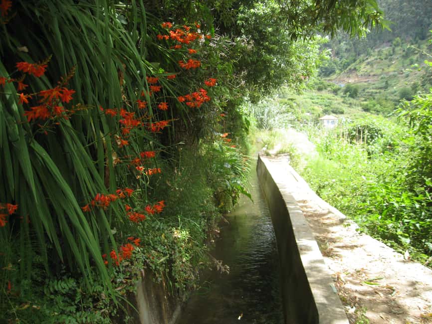 Funchal : Levada do Norte - Guided walk with transport - End of the walk and the Cabo Girão viewpoint break