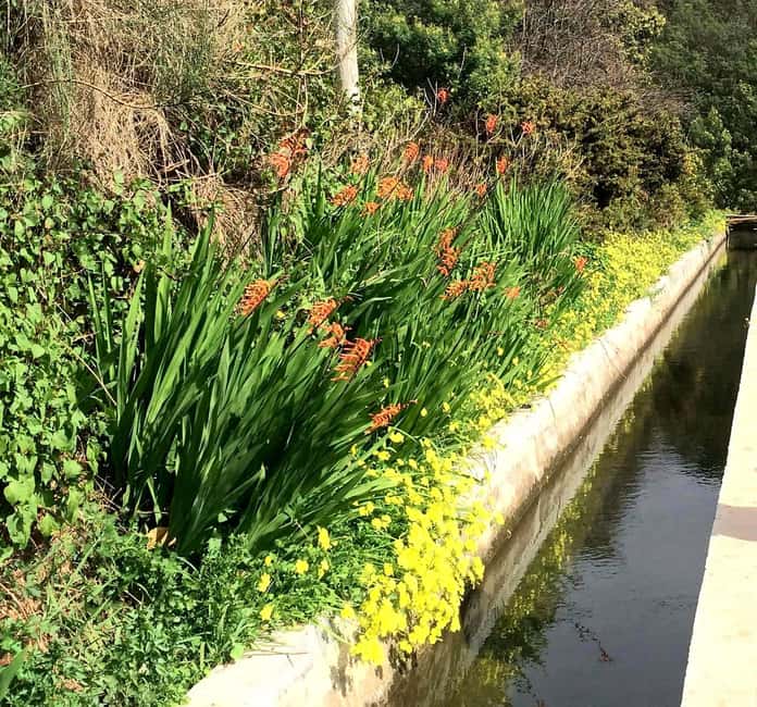 Funchal : Levada do Norte - Guided walk with transport - Who this walk suits best