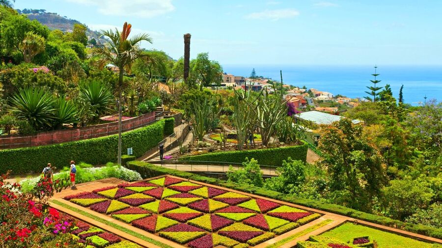 Funchal: Madeira Botanical Garden Tuk-Tuk Tour + Old Town - Getting the most out of the self-guided garden loop