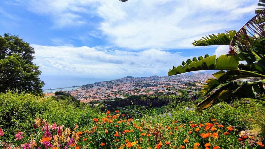 Funchal: Madeira Botanical Garden Tuk-Tuk Tour + Old Town - Price and value: $44 for transport and guidance, tickets extra