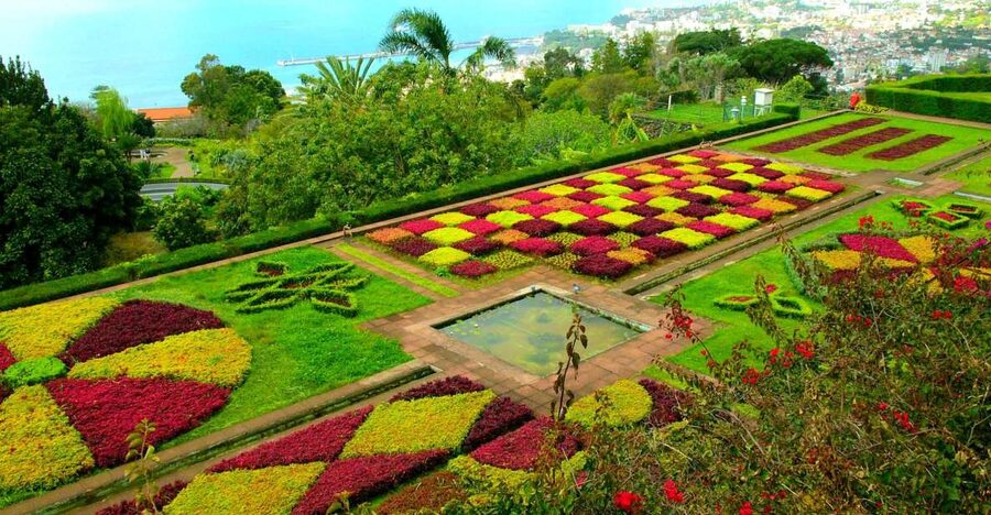 Funchal: Madeira Botanical Garden Tuk-Tuk Tour + Old Town - Who this tour fits best (and who should skip it)