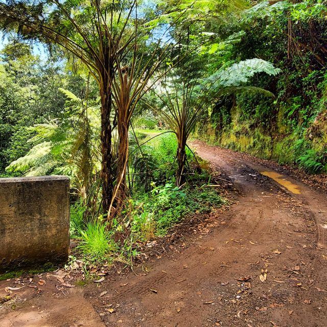 Funchal: Madeira Island 4x4 Private Customizable Tour - Key reasons this 4x4 West Madeira tour works