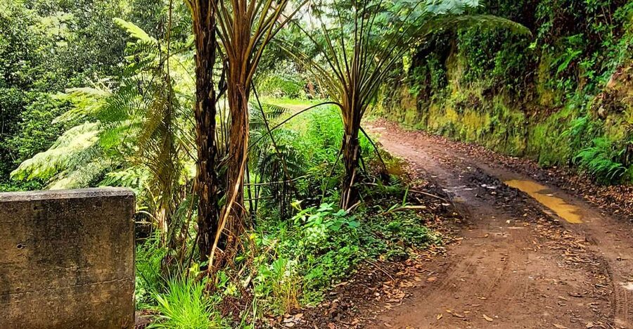 Funchal: Madeira Island 4x4 Private Customizable Tour - What to pack for a smooth off-road day in Madeira
