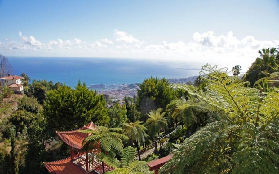 Funchal: Monte Palace Tropical Gardens Tuk Tuk Tour - Tuk tuk up from central Funchal, views included