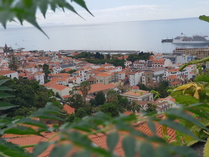 Funchal: Monte Toboggan and Old Town Tour by Tuk-Tuk - Should you book this Funchal tuk-tuk and Monte Toboggan tour?