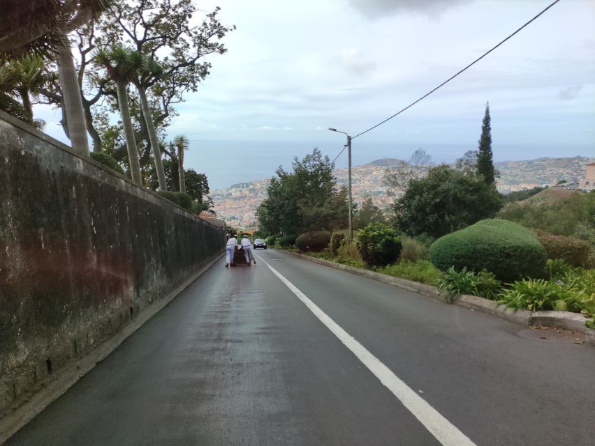 Funchal: Monte Toboggan and Old Town Tour by Tuk-Tuk - Monte’s 585 meters climb: short effort, big payoff