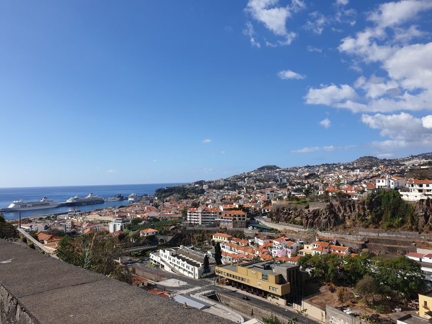 Funchal: Monte Toboggan and Old Town Tour by Tuk-Tuk - Price and time: does $47 make sense for 110 minutes?