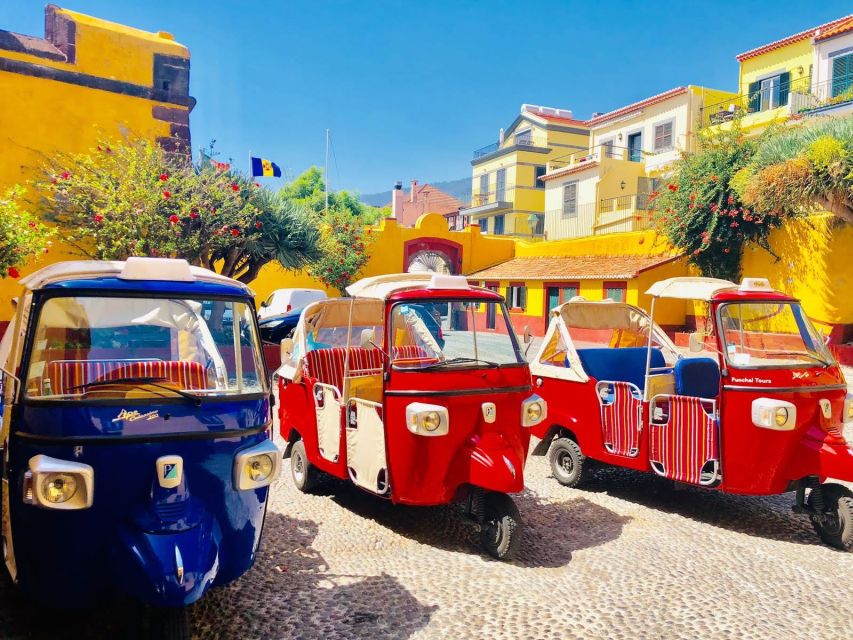 Funchal: Monte Toboggan and Old Town Tour by Tuk-Tuk - What to bring, and the real comfort checklist for Monte