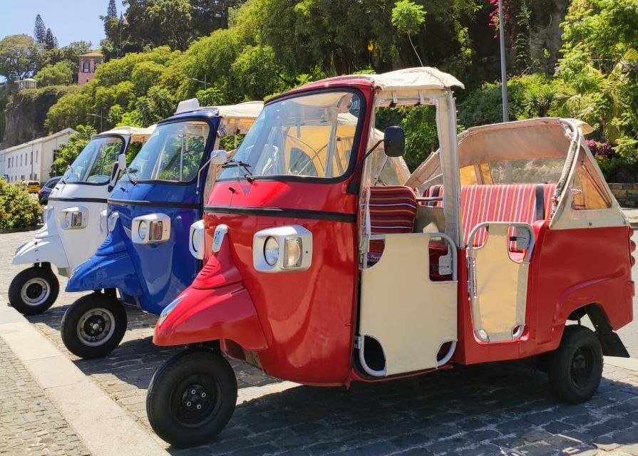 Funchal: Monte Toboggan and Old Town Tour by Tuk-Tuk - Who should book this Monte Toboggan plus old town tuk-tuk tour