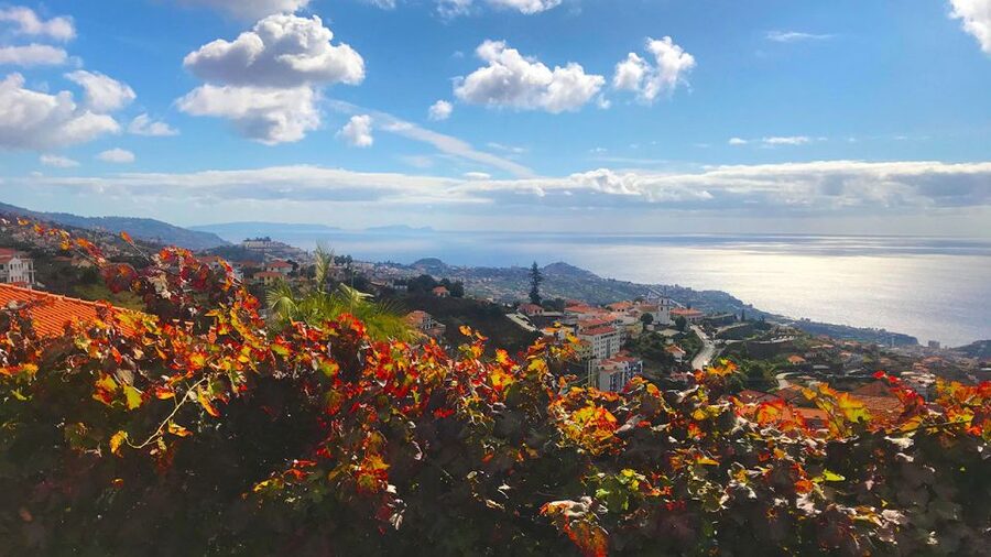 Funchal: Northern Levada Walking Tour - Key things to know before you go