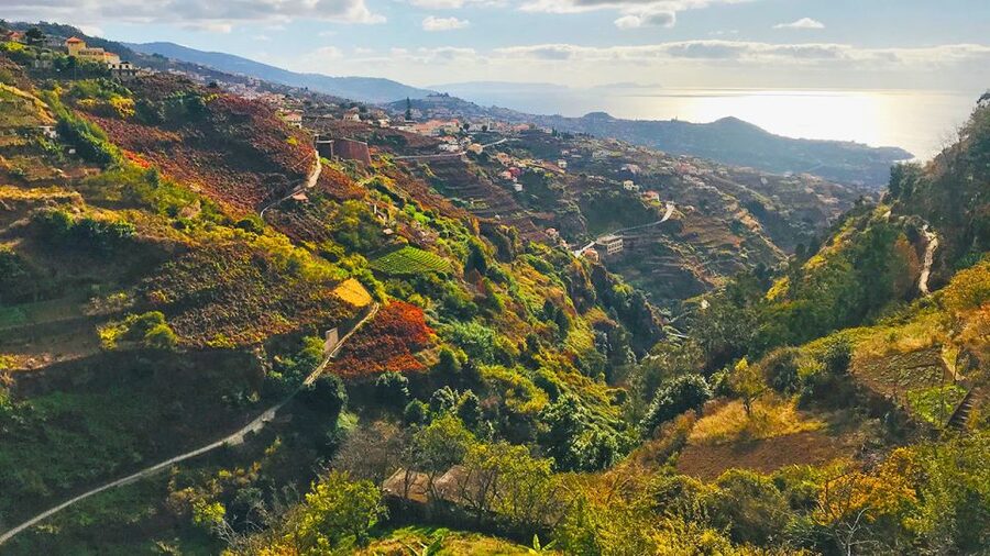 Funchal: Northern Levada Walking Tour - What to bring, and how to avoid the usual walking-day mistakes