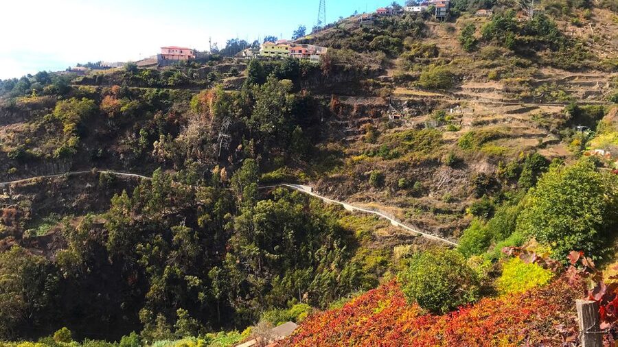 Funchal: Northern Levada Walking Tour - Starting at Cabo Girão, where the Northern Levada sets the mood