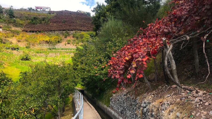 Funchal: Northern Levada Walking Tour - The views over the ocean and mountains: plan for the “almost perfect” moments