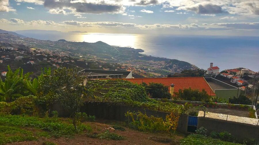 Funchal: Northern Levada Walking Tour - How long it takes and what “easy” really means on this trail