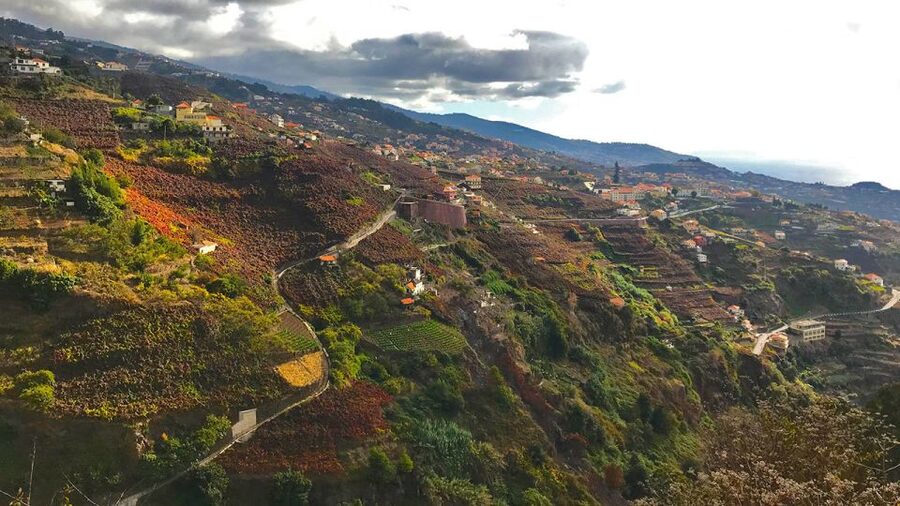 Funchal: Northern Levada Walking Tour - Pickup, meeting points, and the practical side you should not ignore