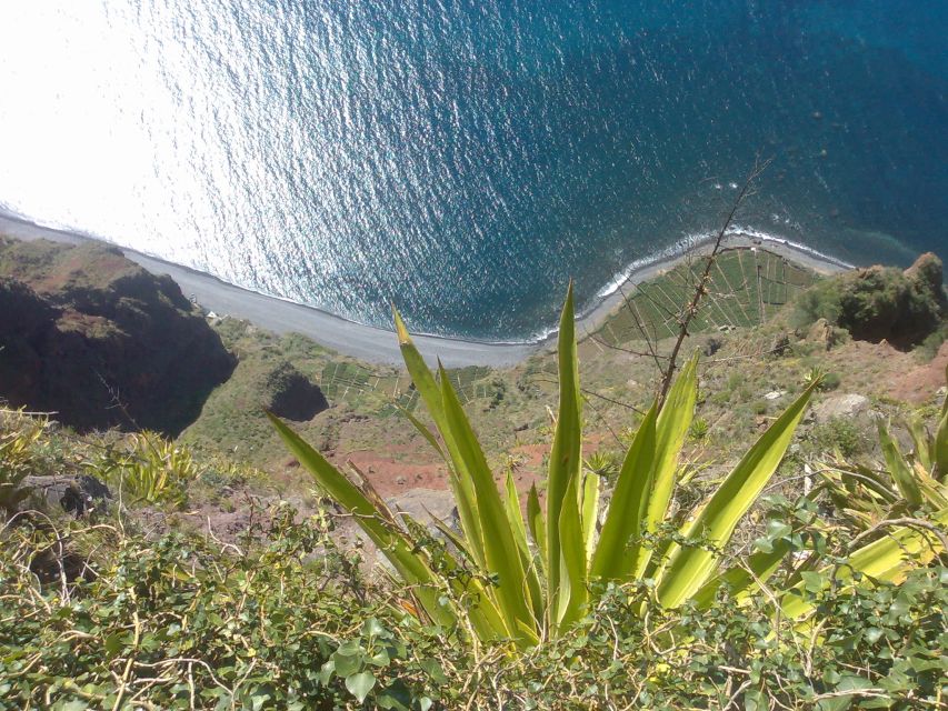 Funchal: Nuns Valley Half Day Tour - Price value: why $29 can work well for a half-day with guide and pickup