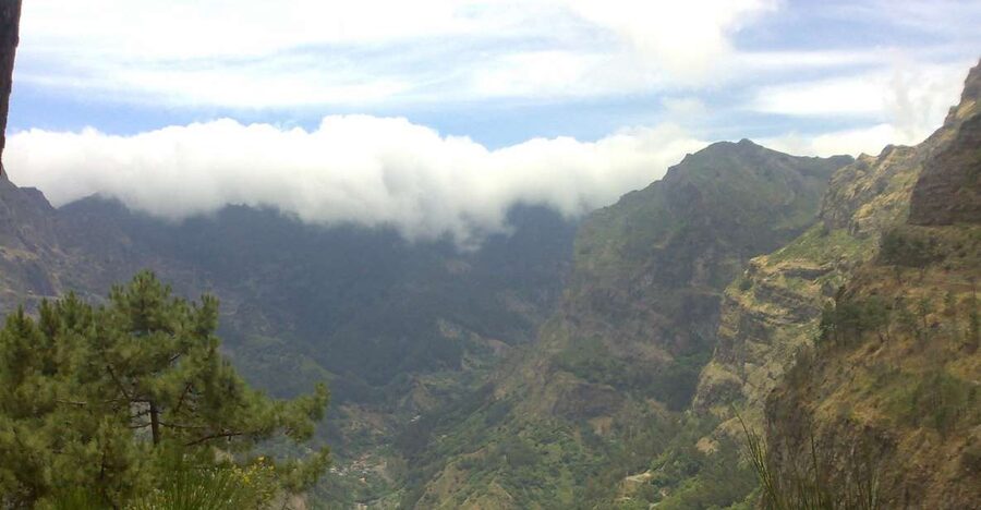 Funchal: Nuns Valley Half Day Tour - Pico dos Barcelos: your first panoramic hit over Funchal