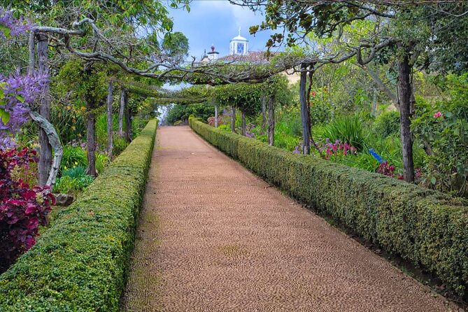 Funchal Old Town & Palheiro Gardens Private Tuk Tuk Tour - Palheiro Gardens at Quinta do Palheiro: award-winning, year-round, and full of legacy