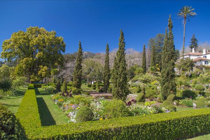 Funchal Old Town & Palheiro Gardens Private Tuk Tuk Tour - Price and value: $96.33 per group, plus 10€ per person for admission