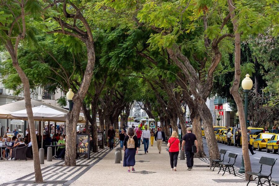 Funchal: Old Town Walking Tour - Farmers’ Market and the embroidery-era street lesson