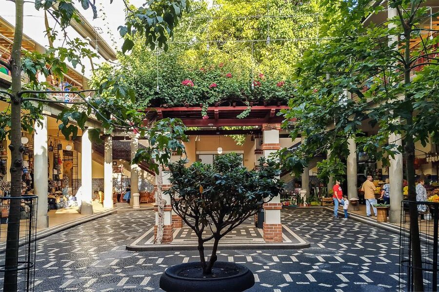 Funchal: Old Town Walking Tour - Municipal Garden, a traditional wine lodge, and what to expect from the wine stop