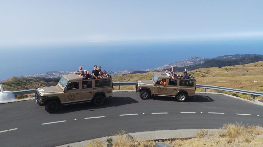 Funchal: Pico Arieiro, Cristo Rei and Dolphins Watching - Dolphin watching from the harbor, plus whale spotting potential