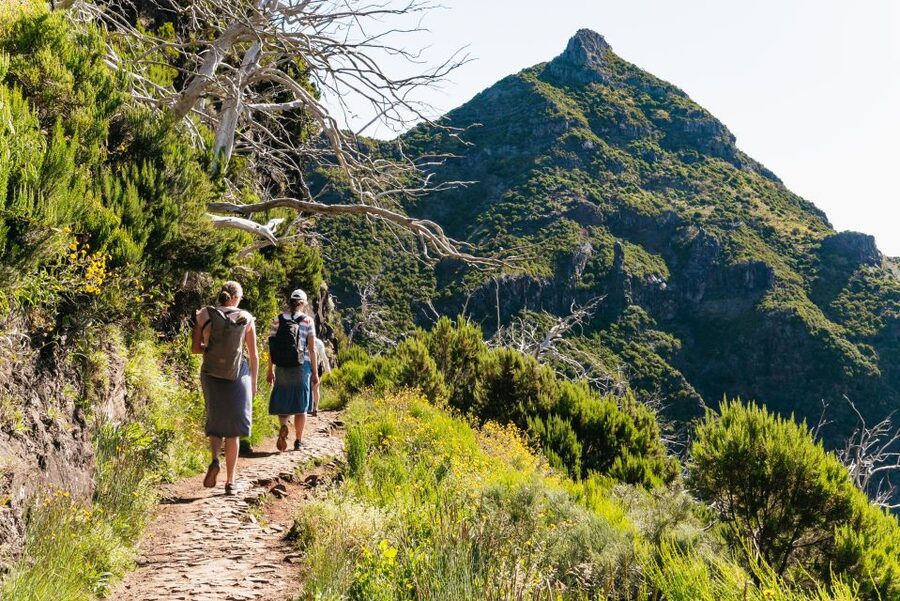 Funchal: Pico do Arieiro Sunrise Hiking Transfer - The door-to-door transfer: what you’re actually buying