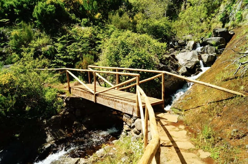 Funchal: Pico do Arieiro Sunrise Plus 2 extra Hiking Trails - PR3 Donkey Trail: history, greenery, and friendly animals