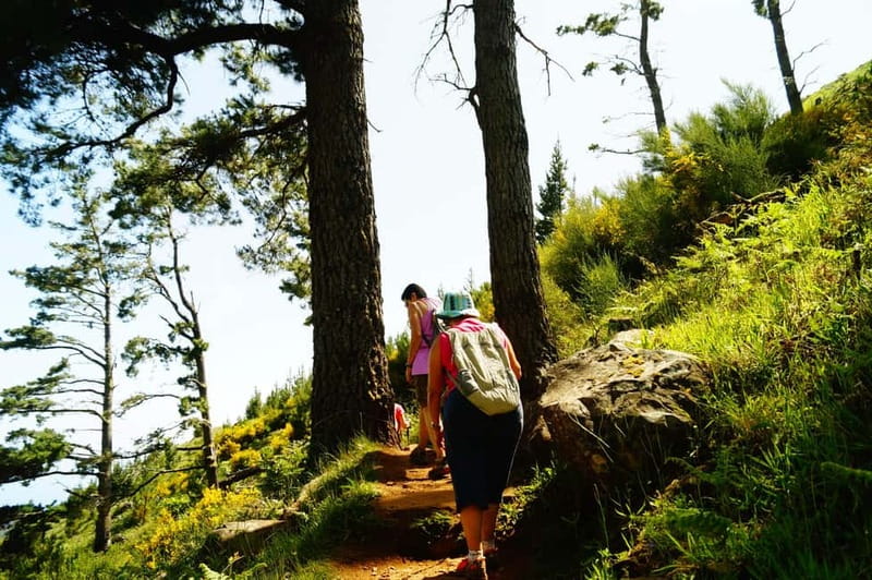 Funchal: Pico do Arieiro Sunrise Plus 2 extra Hiking Trails - The optional extra: PR3.1 views and the Monte finish