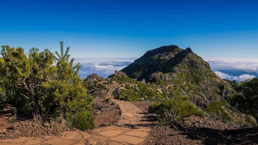 Funchal: PR1.2 Pico Ruivo & Achada Teixeira Hiking Transfer - Getting From Funchal to Achada do Teixeira Without Stress