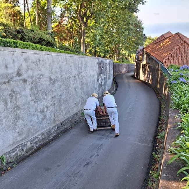 Funchal: Private Cable Car, Toboggan, and Skywalk Tour - Key highlights you should care about