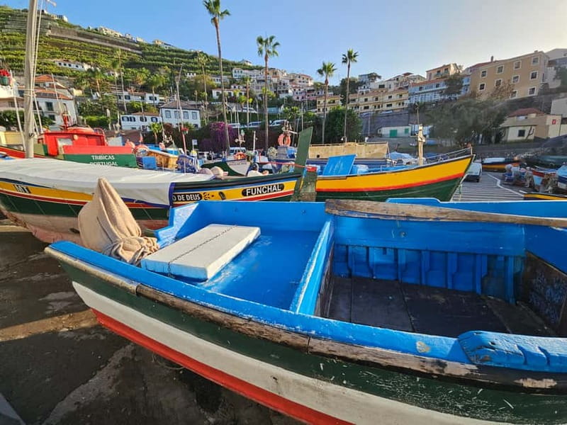 Funchal: Private Cable Car, Toboggan, and Skywalk Tour - How this 4-hour private plan works in the real world