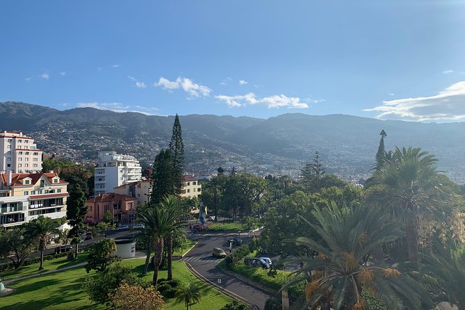 Funchal Private Transfers Service to Madeira Airport - Why this Funchal-to-Airport transfer feels worth it