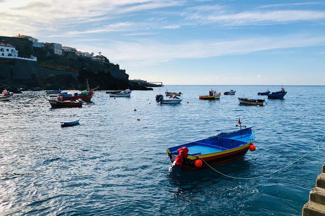 Funchal Private Vehicle Service with Driver for a Half Day or Full Day - Pickup in Funchal and the cruise terminal, without stress