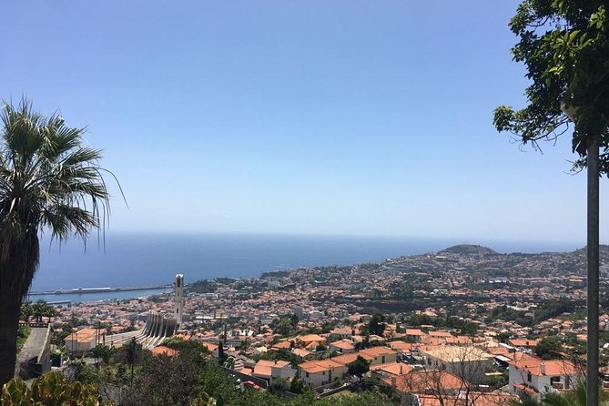 Funchal Private Vehicle Service with Driver for a Half Day or Full Day - How you build your perfect Madeira day (no fixed route)